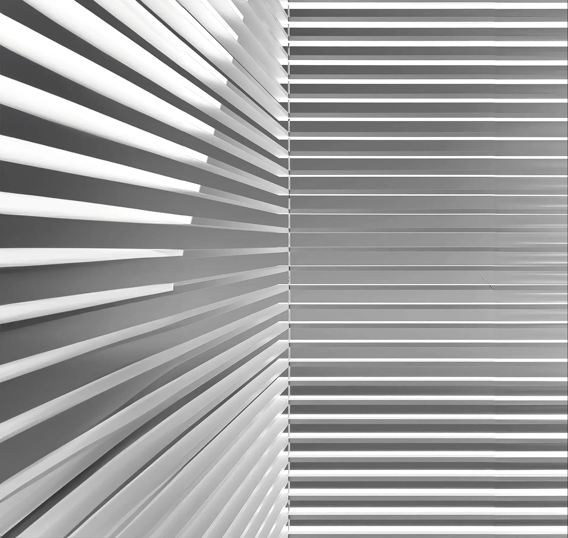 parallax image