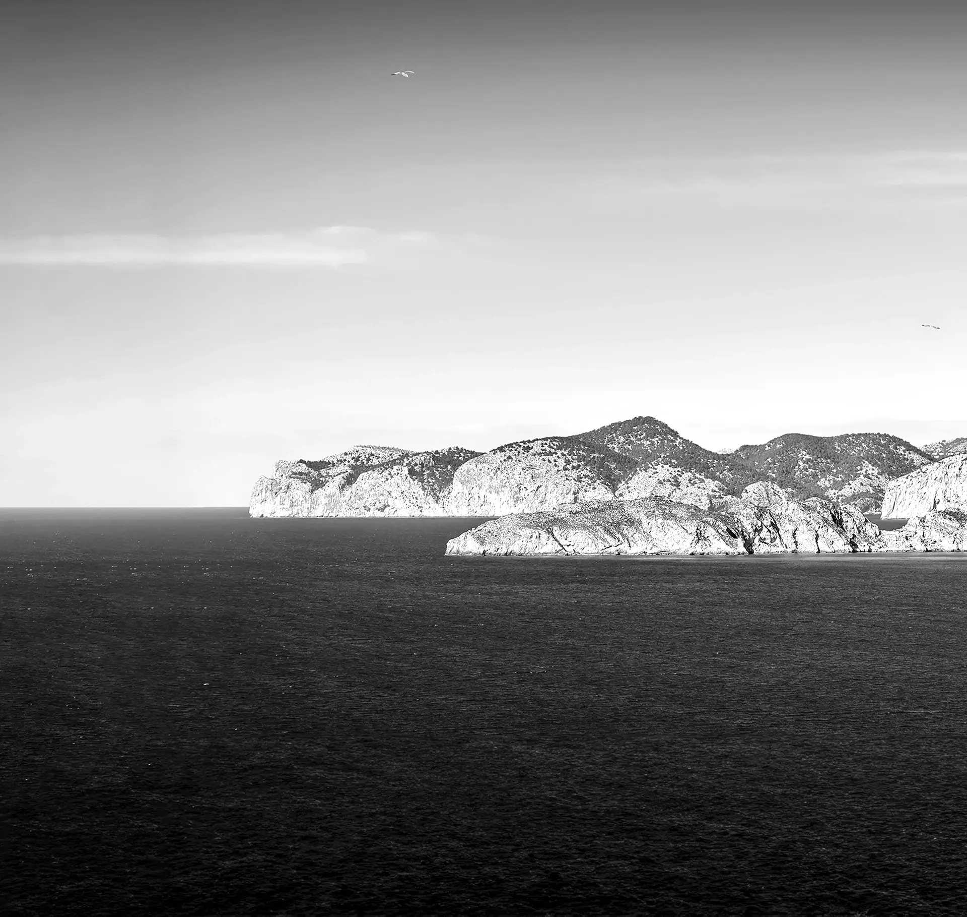 parallax image