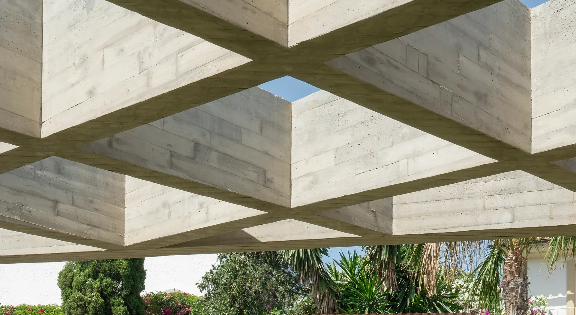 parallax image